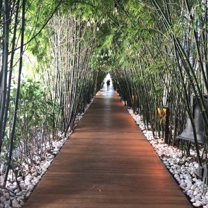 Meet your Posher, Alisan